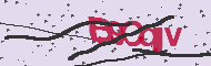 Captcha認証コード