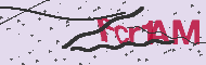 Captcha認証コード